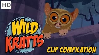 Wild Kratts  Clever Little Mammals Compilation [upl. by Casimire]