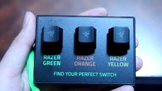 Razer Chroma Mechanical Switch Tester Unboxing and Review [upl. by Norby]