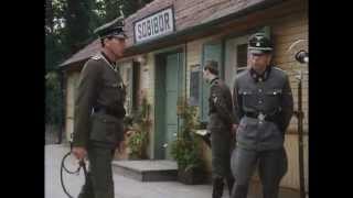 Escape From Sobibor 1987 STV TRUEFRENCH DVDRiP XViD AC3 THEWARRIOR777 [upl. by Halludba]