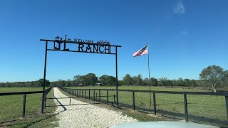 Longhorn Lesters is separating cattle JL Ranch [upl. by Timofei]