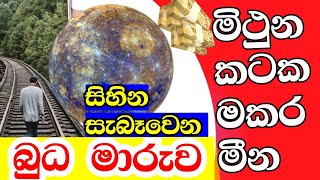 ලග්න පලාඵල  බුධ මාරුව 2024  Lagna palapala  Planet transit Gemini  Cancer  Capricorn  Pisces [upl. by Adnalu]