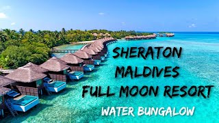 Sheraton Maldives Full Moon Resort amp Spa  Water Bungalow with Pool [upl. by Nehr]