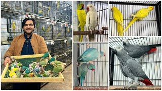 Multan Sunday Birds Rasheedabad latest Update I 7 January 2024 [upl. by Jared518]