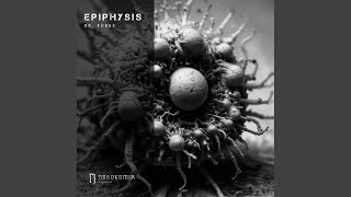 Epiphysis [upl. by Waylin]