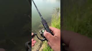 POV  ton pote te dit qu’il y a pas de poisson ici shorts fishing pov humour [upl. by Airdnekal]