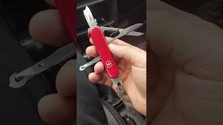 Victorinox climber edc victorinox [upl. by Enyalaj]