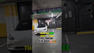 Free Gas Doesnt Exist Tesla EV art viral shorts [upl. by Ydda1]