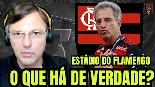 MAURO CEZAR DETALHA O ASSUNTO quotESTÁDIO DO FLAMENGOquot [upl. by Aihtekal109]