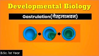 process of gastrulation  morphogenetic movements in gastrulation  BSc1 year  MudgalBiology [upl. by Eloci]