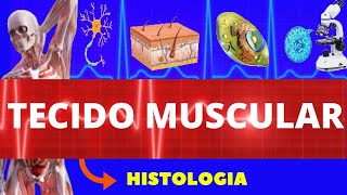 TECIDO MUSCULAR  HISTOLOGIA ENSINO SUPERIOR  TIPOS ESTRUTURA CARACTERÍSTICAS E COMPOSIÇÃO [upl. by Derfla646]