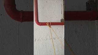 Most useful quick release knot [upl. by Martguerita]