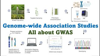 Genome wide association studies All about GWAS Technique in Molecular Plant Breeding [upl. by Amin931]