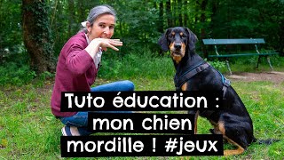 Tuto éducation  mon chien mordille  jeux [upl. by Assisi]