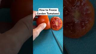 How To Freeze Garden Tomatoes shortsvideo [upl. by Aylat855]