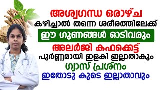 അശ്വഗന്ധ ഒരാഴ്ച കഴിച്ചാൽ തന്നെ ശരീരത്തിലേക്ക് ഈ ഗുണങ്ങൾ ഓടിവരും kaphakkett maaraan malayalam [upl. by Tait]