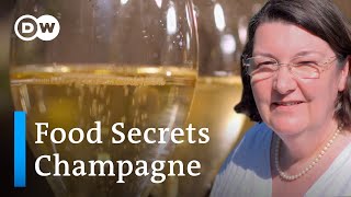 What Makes Real Champagne So Expensive  Food Secrets Ep 17 [upl. by Yelad]