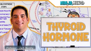 Endocrinology  Synthesis of Thyroid Hormone [upl. by Adnarram]