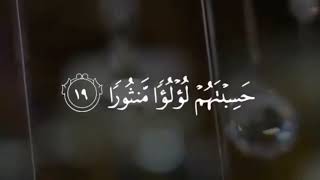 SURAH ALINSAN  RECITER BY  TARIQ MOHAMMED [upl. by Purity]