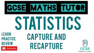 Capture and Recapture  Grade 6 Series  GCSE Maths Tutor [upl. by Gunar]