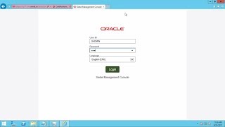 Siebel Innovation Pack 2017 Installing Application Interface Инсталляция Oracle Siebel CRM IP2017 [upl. by Ahseikram529]