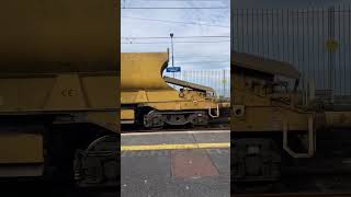 Rare sighting in Greystones train station [upl. by Aural]