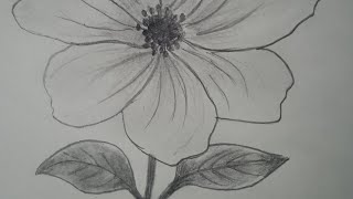 simple flower drawing step by step [upl. by Dnomyaw]