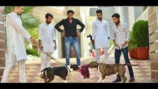 FAN 2  AARDEE  FULL VIDEO  LATEST PUNJABI SONG 2017  AAPKA APNA PRODUCTION [upl. by Geller]