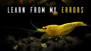 6 Common Shrimp Keeping Mistakes You Can AVOID [upl. by Oos]