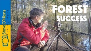 Landscape Film Photography  A Good Day in the Forest [upl. by Kimon350]