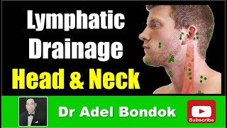 Lymphatic Drainage of the Head and Neck Dr Adel Bondok [upl. by Comptom]