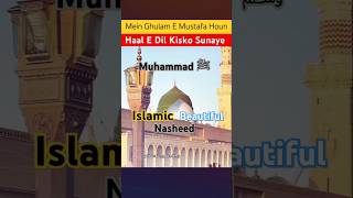 हाले दिल किस को सुनाये  shorts ytshorts youtubesorts shortsfeed muhammadﷺ yt couplegoals [upl. by Appilihp389]