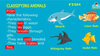 classifying animals  classification of animals class order division of animals and types [upl. by Nivonod767]