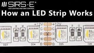 How an RGBW LED Strip Works by SIRSE [upl. by Tanner]