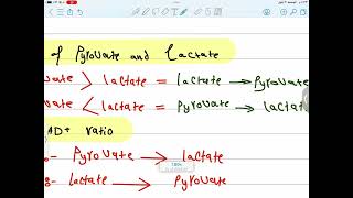 Lactate utilization  biochemistry [upl. by Ennovoj]