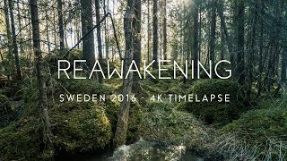 Reawakening Sweden  4K UHD [upl. by Rocray]