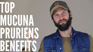 The Top Benefits of Mucuna Pruriens [upl. by Viens]