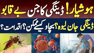 Dengue virus Ka chakwal or punjab main attack  Dengue virus attack in punjab [upl. by Ripp9]