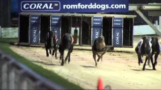 INTRALOT Racing Live Greyhound Racing 2014 [upl. by Chad823]