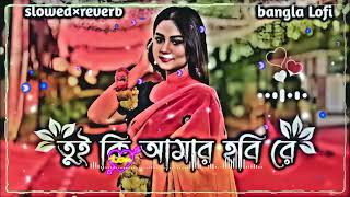 Tui Ki Amar Hobi Re তই ক আমর হব র Bangla Lo Fi slowedreverbLerics Lofi music [upl. by Adan506]