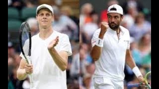 Sinner vs Berrettini  Wimbledon 2024  Tennis Elbow 2013 [upl. by Darnok]