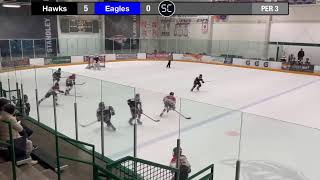 NCYH Jr Eagles 12UAA littletonhockey [upl. by Adna]