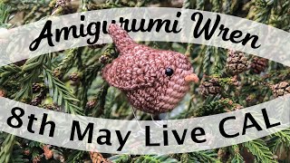 Wren Amigurumi Live CAL [upl. by Nemaj]