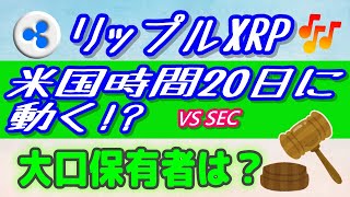 【仮想通貨】大口保有者（クジラ）動向！【リップルXRP】SEC対リップル訴訟の情報 [upl. by Asela]