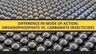 Difference in Mode of Action Organophosphate vs Carbamate Insecticideskasamacademy [upl. by Adnohsar]