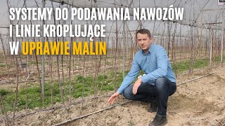 Systemy do podawania nawozów i linie kroplujące w uprawie malin [upl. by Shandra365]