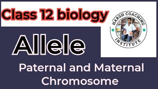 Allele Class 12 biology [upl. by Dlawso102]