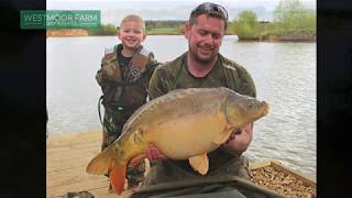 Westmoor farm fishery  Sandpit Day ticket lake [upl. by Asare461]