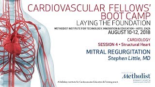 Volodymyr Pavliuk MD PhD Echocardiographic Assesment of Mitral Regurgitation [upl. by Rex463]