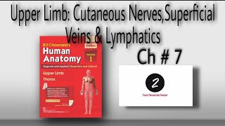 Cutaneous Nerves Superficial Veins amp Lymphatics  Chapter 7  Upper Limb  BD Chaurasia [upl. by Tobi]