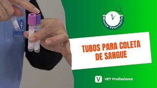 Patologia Clínica Veterinária Tubos para Coleta de Sangue [upl. by Myrvyn]